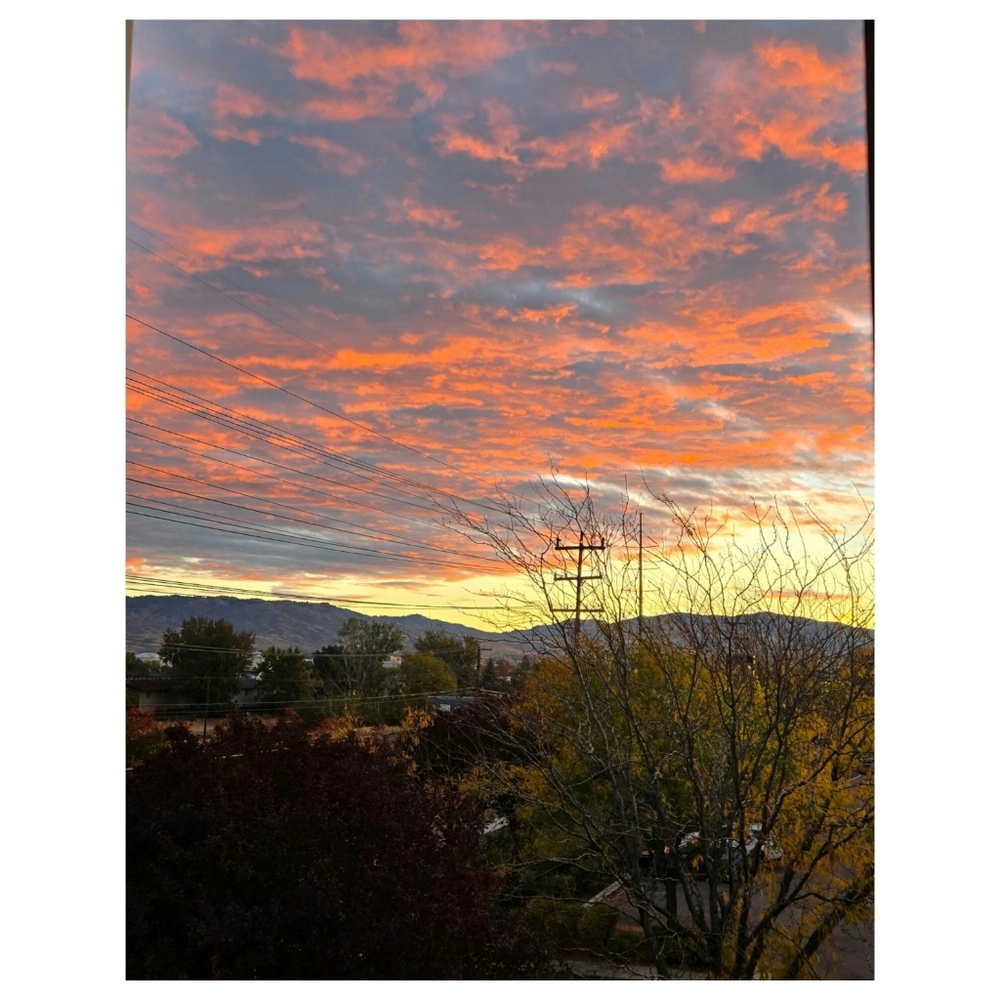 Meet your Posher, Diana